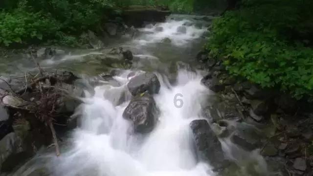 新“椿”鲜味浓