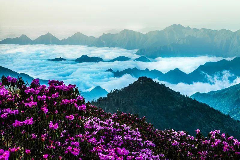 问答交流平台-请问这种情况应该怎么办?,汇集各领域专家悬赏问题解答