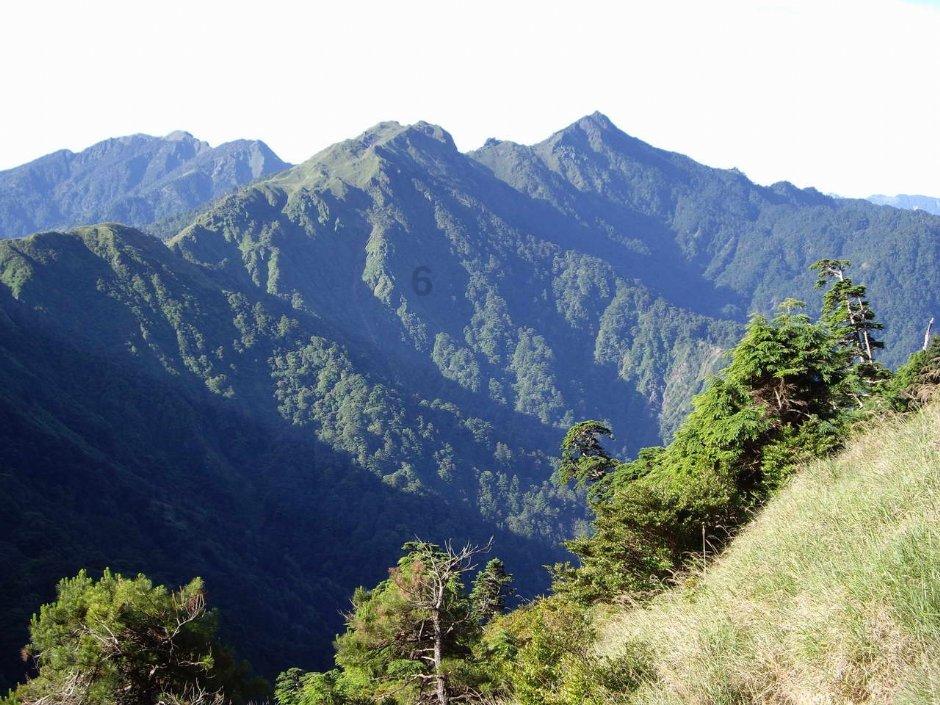 文咏珊谈两个人生重大转折点，自曝真实个性并不飒丨研究院